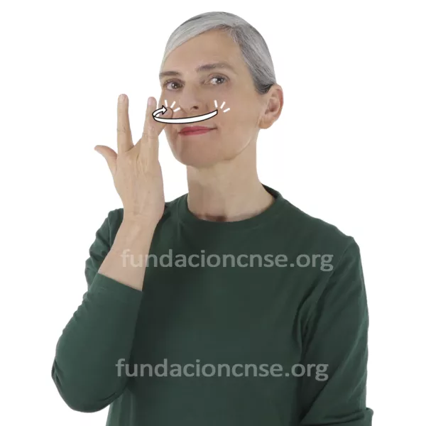 Nombre del artista Alberto Durero en Lengua de Signos Española Signado del nombre Alberto Durero en Lengua de Signos Española