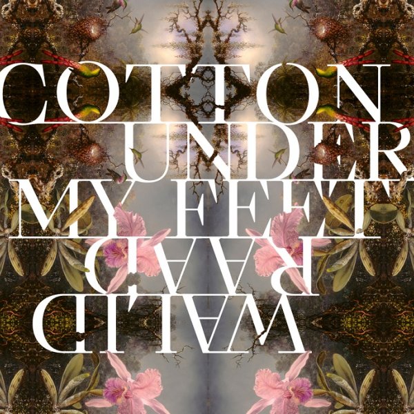 Walid Raad. Cotton Under My Feet

&amp;nbsp;
