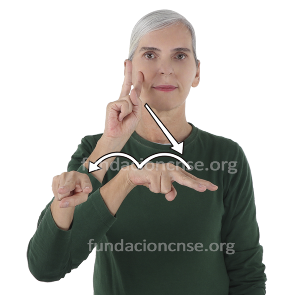 Museo en Lengua de Signos Española Signado de la palabra museo en Lengua de Signos Española