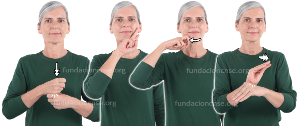 Conservador - conservadora en Lengua de Signos Española Signado de la palabra conservador-conservadora en Lengua de Signos Española